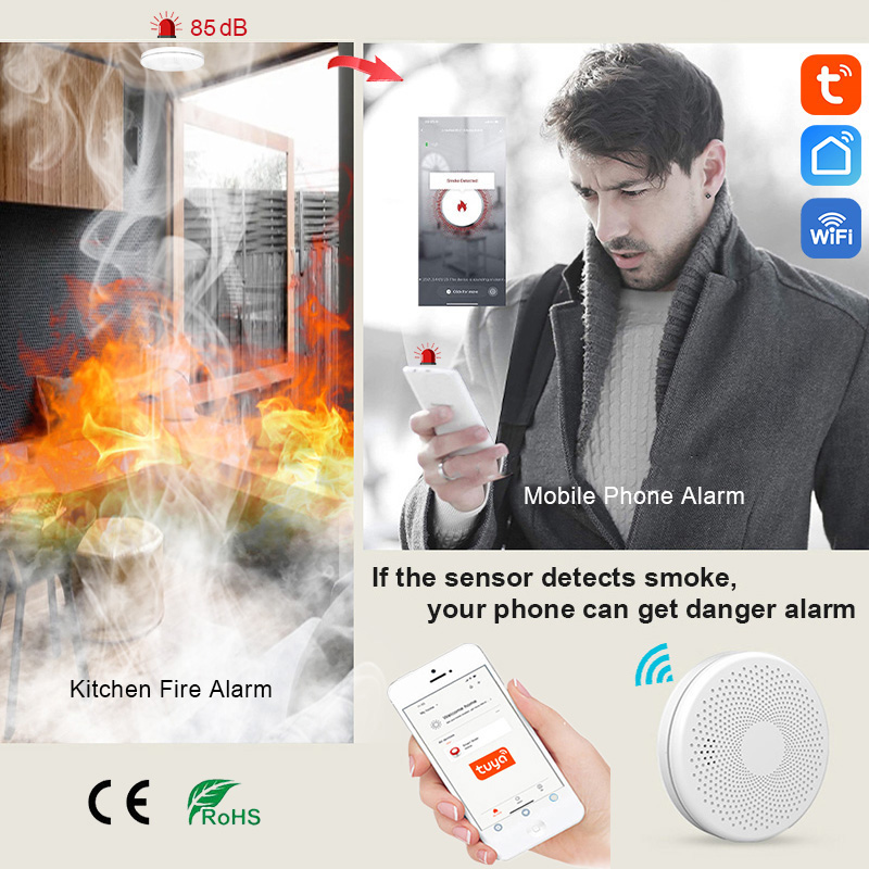 2 in 1 Version WiFi Tuya Smart - Smoke Detector Interconnected avis et prix