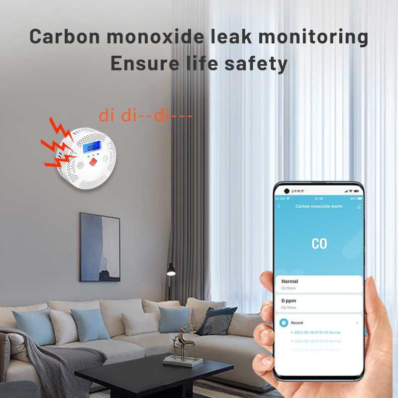 Tuya WiFi Smart Carbon Monoxid - Co Detector Plug avis et prix